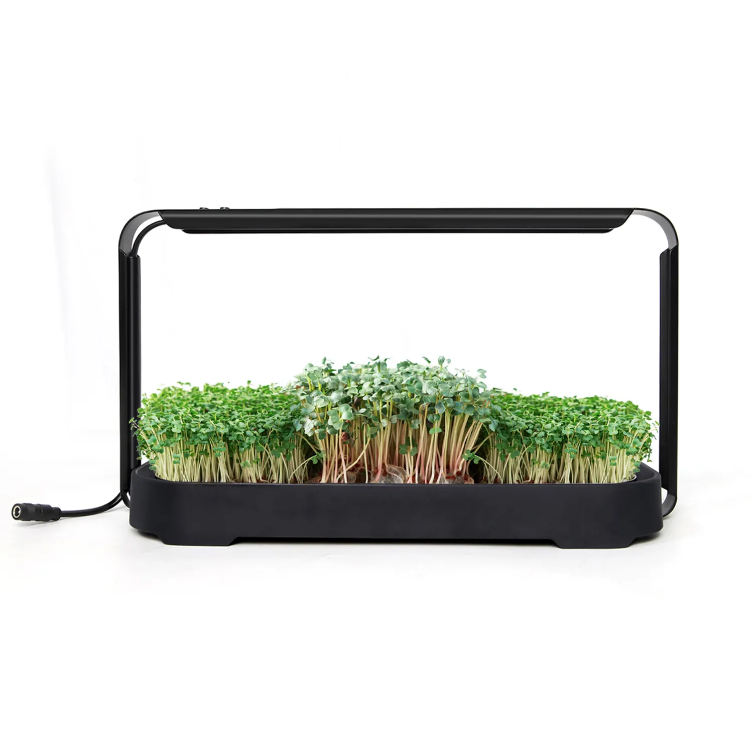 Kapalı bahçe hydroponic veget tohum ekici tepsi microgreen büyümek sistemi siyah kapaklı büyümek mat/çanta/ışık