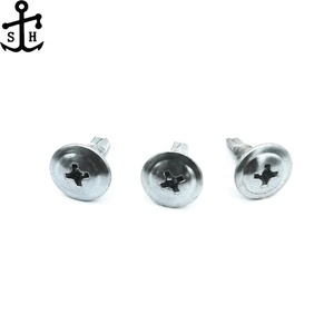 Viti <span class=keywords><strong>autoforanti</strong></span> metriche per tetto con testa a disco incassata reticolata in acciaio inossidabile 304 zincato - Product Image 4