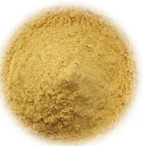 Bulk supply free sample hericium mushroom powder/selenium rich hericium erinaceus powder/lions mane mushroom powder