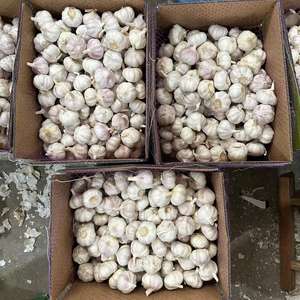 <span class=keywords><strong>Ajo</strong></span> Blanco chino orgánico Semillas de <span class=keywords><strong>ajo</strong></span> blanco puro normal fresco Exportación <span class=keywords><strong>Cultivo</strong></span> orgánico al por mayor - Product Image 5