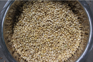 automatic Italia fava bean peeling macchina via secca - Product Image 3