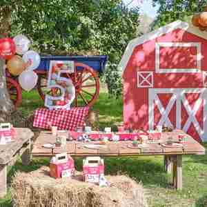 Modern 195-Piece Farm Animals Birthday Party Tableware Set Includes Hats Banner <b>Tablecloths</b> for 24 Guests - Product Image 2