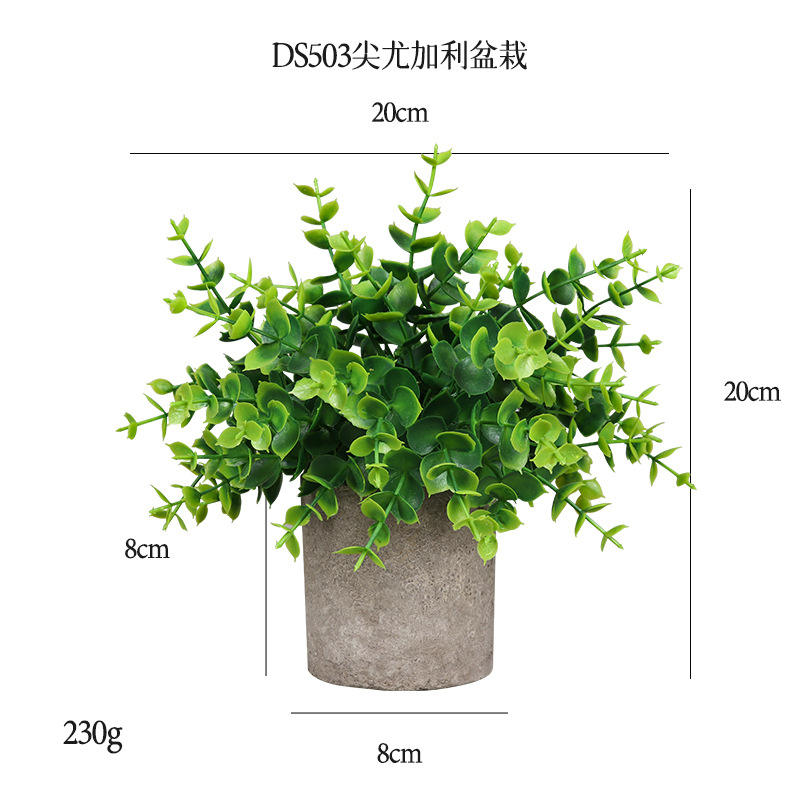 Polpa cilindrica di eucalipto Ds503-pointed