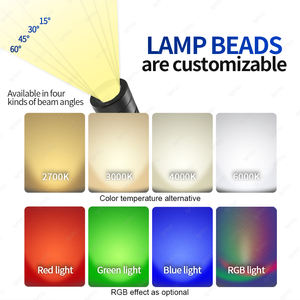 Projecteur LED d'extérieur à piquet 3W-12W IP65 étanche avec capteur de lumière AC 12-24V/110-220V en aluminium pour <span class=keywords><strong>jardin</strong></span> et aménagement paysager - Product Image 6