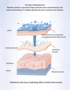 Appareil de mésothérapie sans aiguille à jet d'oxygène pour le visage, hydratant, liftant, hydratation en profondeur, rajeunissement cutané, anti-âge, pistolet méso - Product Image 5