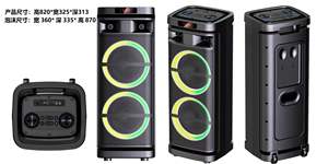 Altoparlanti DJ da Esterno Doppi da 10 Pollici con Telecomando, Uscita 20W*2, Microfono, AUX, TWS, Luci LED RGB per Karaoke e Uso Familiare KTV - Product Image 2