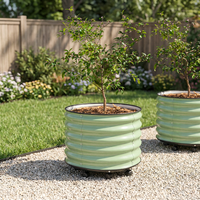 Kit de Jardinière Extérieure Grande Taille en Métal Galvanisé, Design Classique, Écologique, Durable, Système d'Auto-Arrosage Facile à Installer