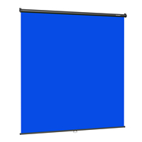 RAUBAY Schermo Blu Retrattile Personalizzabile - Sfondo Antirughe e Antiriflesso in Poliestere 200x220 cm