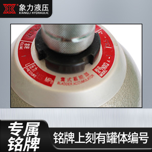 Acumulador de vejiga hidráulica NXQ1L 4L 6.3L 10L 16L 25L 40L para almacenamiento de nitrógeno en sistemas hidráulicos - Product Image 2