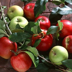 Prix bon marché Aliments sains Fruits frais de haute qualité Pommes Fuji douces - Product Image 3