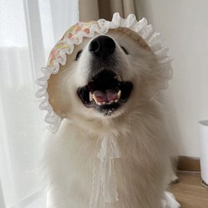 Babero <span class=keywords><strong>razas</strong></span> de perro para medianas y grandes, toalla de Baba impermeable para <span class=keywords><strong>Chow</strong></span> Samoyedo Golden Retriever Alaskan Malamute - Product Image 6