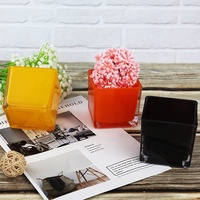 Vases carrés en verre transparent écologiques modernes, vente en gros, couleur personnalisée blanc/noir, pour hydroponie, bouche large, pour mariage