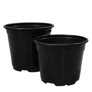 Pots de semis biodégradables fabriqués en Chine pour les plantes de pépinière - Product Image 2