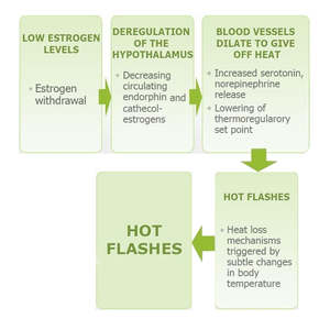 Compléments alimentaires OEM pour femmes, capsules de santé à base de plantes pour soulager la ménopause avec équilibre hormonal, changement de humeur pour la santé féminine - Product Image 5
