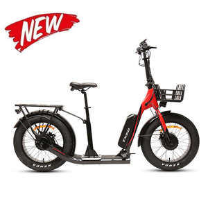 Monopattino Elettrico TXED Unique 20x4.0 in Lega, Motore Doppio da 250W, Batteria al Litio 10.4Ah, Freno a Disco, Autonomia 30km, Scooter E-bike - Product Image 1