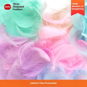 Trang Trí Lông Tự Làm Nổi Nhuộm Ngỗng Lông Giấc Mơ Bắt Sóng Bóng Hộp Quà Tặng Làm Đầy Vật Liệu Trang Trí Bán Buôn - Product Image 3