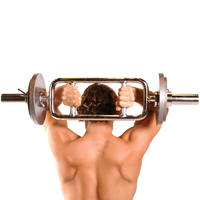 Barre de triceps chromée pour haltères de 10 kg, idéale pour les squats et les curls en musculation