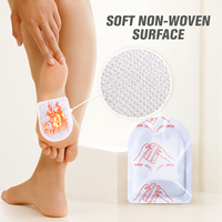 Patch chauffant thérapeutique en tissu non tissé pour mains et pieds, longue durée, certifié CE, à base de poudre de fer, 10 ml, durée de conservation 2 ans