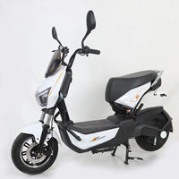 Bicicleta Eléctrica para Adultos de 48V y 28 Pulgadas con Motor Trasero de 1000W, Velocidad Máxima de 75 km/h, Batería de Plomo-Ácido y Pantalla Digital