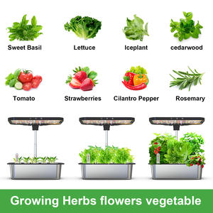 Smart Hydroponic Growing System with LED Plant <strong>Grow</strong> Light Indoor Herb Vegetable Cultivation <strong>Kit</strong> - Product Image 4