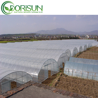 Produit phare 2026 : Serre agricole à simple travée avec structure en polycarbonate, ensemble complet, direct usine