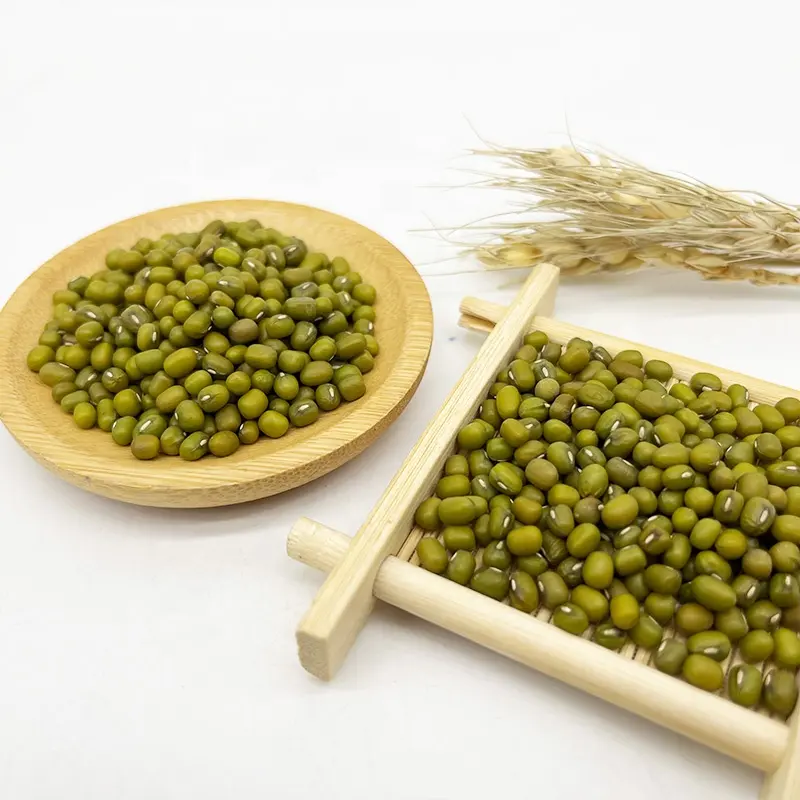 Granos de Mung verde de alta calidad, precio de semillas de brotes