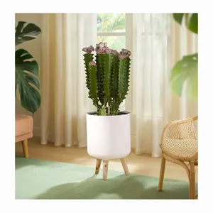 Nieuwe Aankomst Grote Zilveren Hoge Bloempot Verplaatsbare Luxe Planter Voor Binnen Buiten Tuinieren Voor Thuis Kantoor Decor