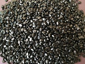 Nhựa Phim <span class=keywords><strong>Carbon</strong></span> Đen <span class=keywords><strong>Masterbatch</strong></span> PP/PVC/PPR Màu Đen <span class=keywords><strong>Masterbatch</strong></span> Đối Với Ống Không Thấm Nước - Product Image 4