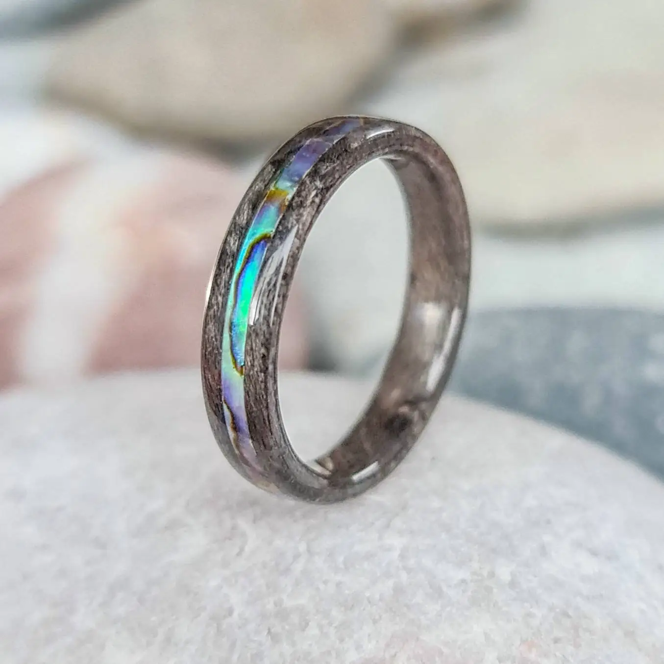 Silver birdseye maple and abalone paua shell ring