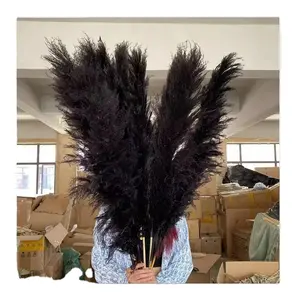 Wholesale Black Pampas grass 120cm Big Pampas Grass Dried Pampas Grass For Floral Arrangement