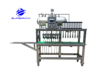 Máquina Llenadora de Botellas de Vidrio Semiautomática, Isóbara y de Contrapresión para Cerveza, Refrescos y Bebidas Carbonatadas, Personalizable para Cervecerías