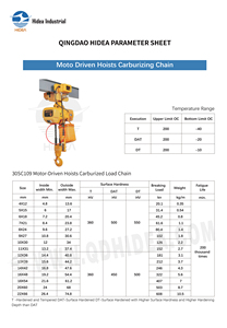 <span class=keywords><strong>Cadena</strong></span> de Carga de Acero Superaleado de Alta Resistencia, Carburizada, Larga Vida Útil, Endurecida, para Polipastos Eléctricos Motorizados - Product Image 6