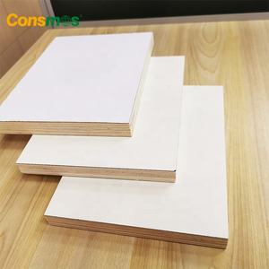 Contrachapado Laminado Blanco <span class=keywords><strong>Formica</strong></span> <span class=keywords><strong>de</strong></span> Alta Presión <span class=keywords><strong>de</strong></span> 16 mm y 18 mm - Product Image 5