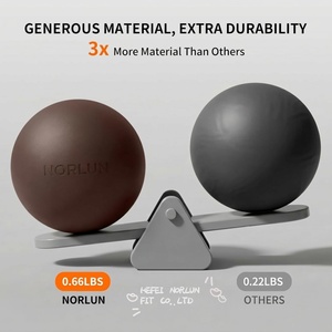 Palla per <span class=keywords><strong>Esercizi</strong></span> in PVC Non Pesata, Piccola 8 Pollici, per Yoga, Pilates, Barre, Stretching, Allenamento di Forza e Core, <span class=keywords><strong>con</strong></span> Mini Pompa - Product Image 4