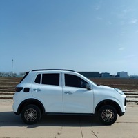 Nouveauté 2025 : Véhicules Électriques Mini Haute Qualité Fabriqués en Chine à Prix Abordable pour Jeunes et Personnes Âgées, Idéaux pour les Voyages en Extérieur, Moteur 3500W-4500W