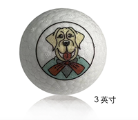 HS balle à mâcher pour animaux de compagnie haute élasticité ETPU chien chiot balle Interactive en plein air jouet d'entraînement jouets boule à mâcher