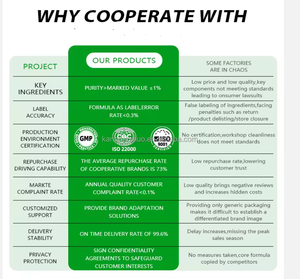 Extracto de Yerba <span class=keywords><strong>Mate</strong></span> en Polvo, Suministro de Fábrica OEM GMP, para Apoyo Inmunológico en Adultos - Product Image 6