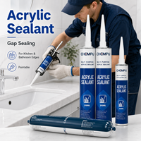 Lot économique de mastic acrylique blanc 1K à faible rétrécissement pour la décoration, idéal pour les joints de plafond et comme remplisseur d'espaces acrylique soigné