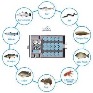 <span class=keywords><strong>Precio</strong></span> de Fábrica, Tamaño Personalizado, Lámina de PVC Galvanizado, Sistema de Acuicultura RAS, Tanque para Peces, para Cría de Tilapia y Bagre en Estanques de Piscifactorías - Product Image 2