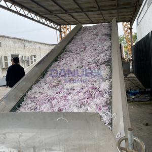 Spot Supply Mesh Belt Onion Dryer and Grinder Machine Onion Cutting and Drying Grinding Production Line - Product Image 2