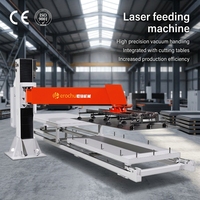 Máquina de Alimentación Láser Herochu, Manipulador Cantilever, Brazo Robótico de Alta Precisión Totalmente Automático para Manipulación de Láminas Metálicas, Motor PLC