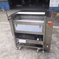 Automatische Dadels Palmreiniging Polijstmachine Borstelrol Droge Datum Wasmachine