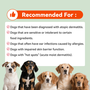 OEM Soulagement des allergies chez le <span class=keywords><strong>chien</strong></span> Doux à mâcher Démangeaisons Soutien de la <span class=keywords><strong>peau</strong></span> Anti-démangeaisons Supplément pour la <span class=keywords><strong>peau</strong></span> et le pelage avec probiotiques Colostrum Quercétine - Product Image 6