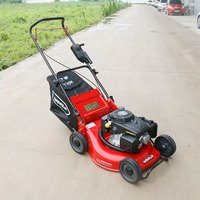 Mini tondeuse à gazon avec bac de ramassage, machine à couper l'herbe, tondeuse à pousser manuelle, tondeuse à gazon thermique autoportée
