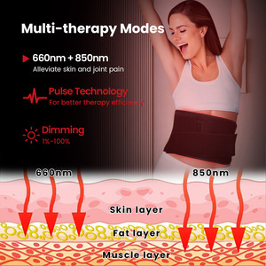 Ideared-Cinturón de terapia de luz roja para aliviar el dolor, terapia de luz facial LED de cuerpo completo con luz roja, 660, 850nm, - Product Image 5
