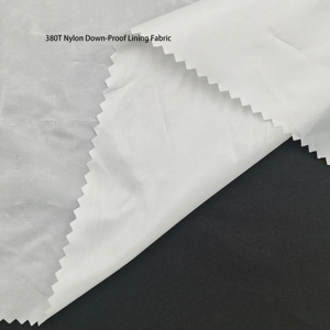 100% Polyester 380T Nylon Xuống Bằng Chứng Ló<span class=keywords><strong>t</strong></span> Vải Chống-Thuốc <span class=keywords><strong>T</strong></span>ính năng Thoáng Khí Cho Sofa Ló<span class=keywords><strong>t</strong></span> Sợi Nhuộm Mô Hình Cho Cô Gái - Product Image 5