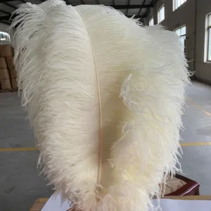 家の装飾のための白いカラーウェイダチョウの羽の環境に優しいDIY24-26インチ卸売染めダチョウの羽femina