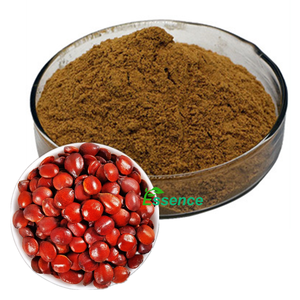 热销植物成分助眠2%枣仁提取物粉，枣仁皂甙，枣仁提取物2% 5%皂苷 - Product Image 2