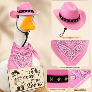 Seasonal Porch Goose Clothes Pink Western Hat Paisley Bandana Funny <b>Sign</b> <b>Garden</b> Lawn Ornament - Product Image 6