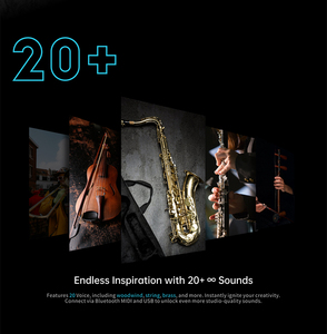 Midiplus gió Pro điện tử Saxophone sáo bán hàng trực tiếp cho Bluetooth Midi nhạc cụ phụ kiện - Product Image 6